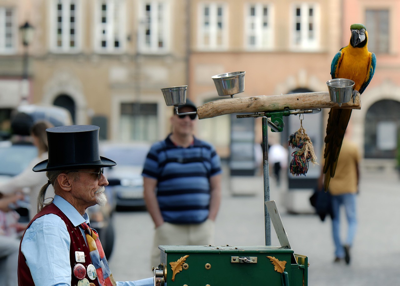 pensie minima garantata 2025