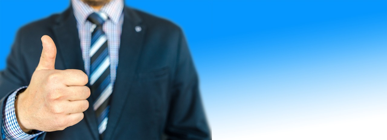 cifra de afaceri neta